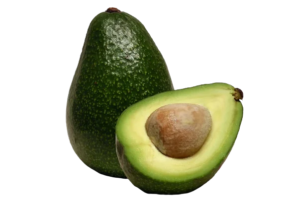 Лидер продаж-свежий авокадо высокого качества высокого стандарта для экспорта из Вьетнама