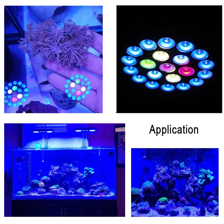 Micmol Top-selling Thor Reef Coral led Aquarium Lights Wifi APP Control Adjustable Marine Lights for Saltwater Aquarium Tank