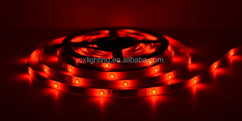 RGB Led Strip Roll DC12V 3528 IP65 5M 10m Magic Flexible Dimmable Multicolor RGB LED Strip Lights Tira Cinta Luces Luz