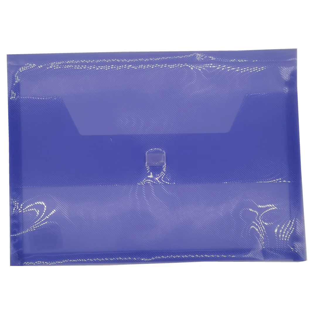 Office School Stationery Color A4 Plastic File Folder Document Folder