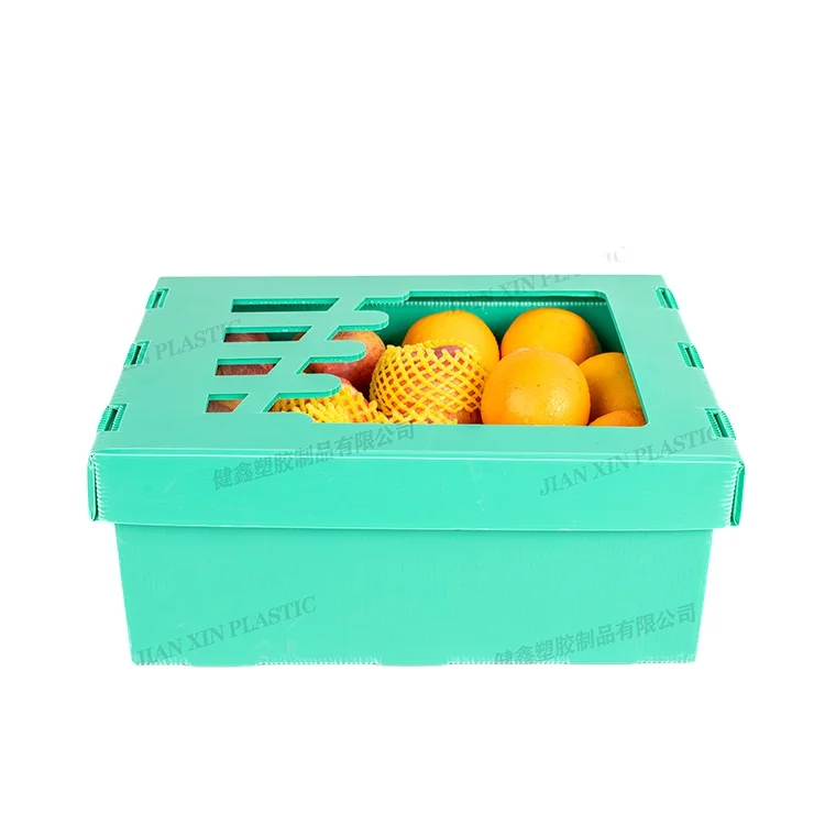 Custom Wholesale Foldable Plastic Corrugated Fresh Vegetable Storage Packaging Box PP Coroplast Packing Okra Box For Vegetable