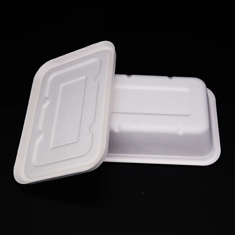 
Biodegradable Sugarcane Bagasse Disposable Takeaway Food Tray with Lid 