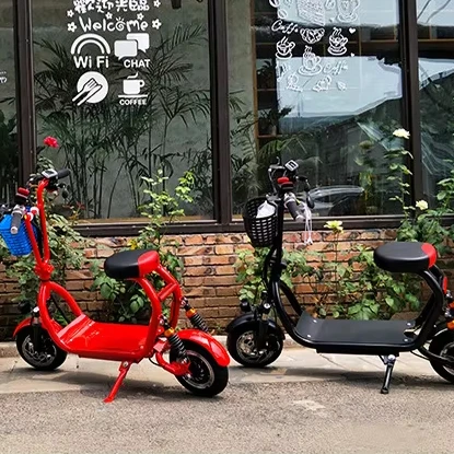 OEM10 Inch electric scooter Double shock absorption Disc brake skateboard Off-Road Folding adult electric bike scooter
