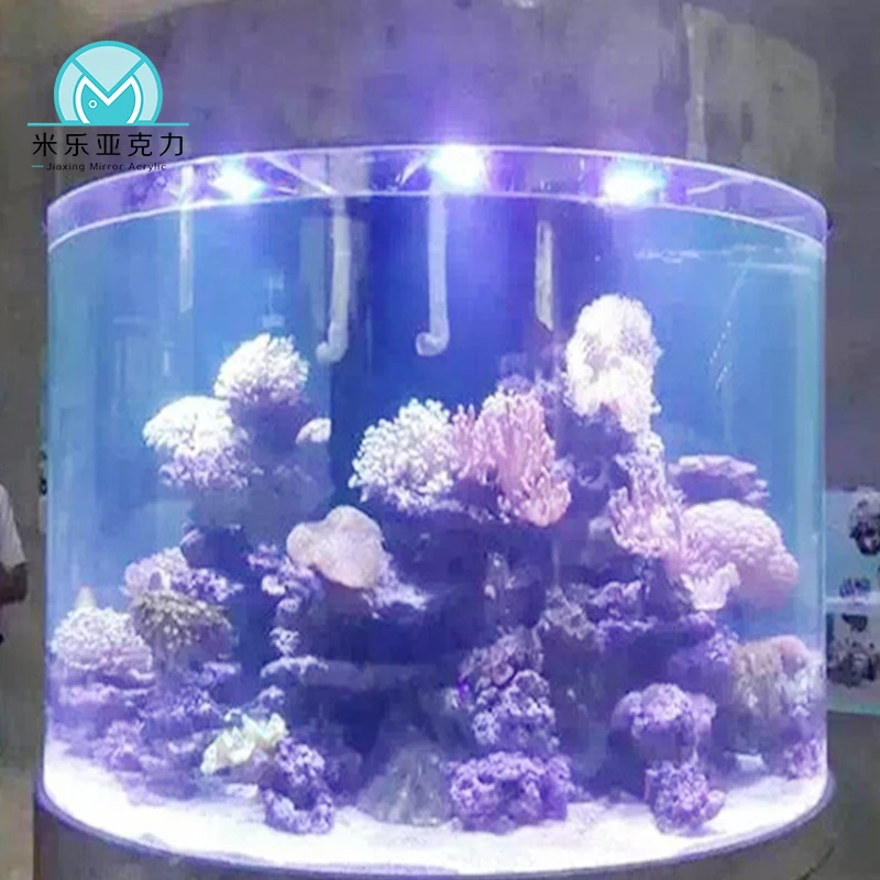 Wholesale cheap custom hot sale modern big aquarium toilet fighter fish aquarium tank