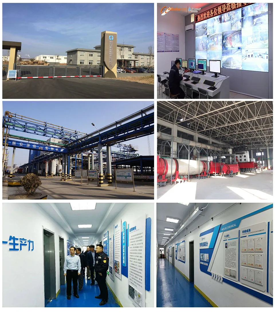 Wholesale Food Grade Gelatine Powder Raw Material Factory Halal ISO HACCP Certified for Food Additives