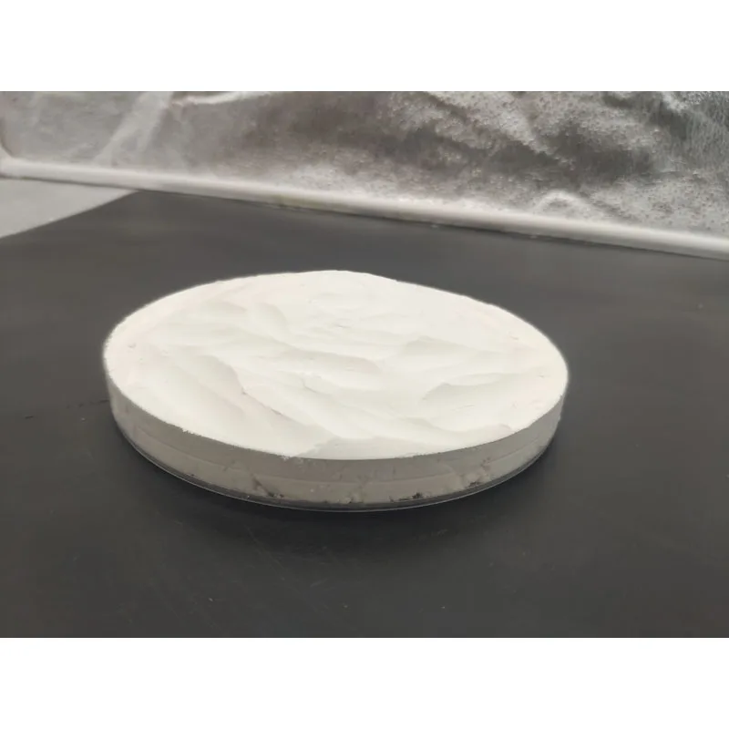 China Manufacturer Pet Nest Pad Such As Sponge Like Fluffy Adsorption Sufficient Supply  Cat Litter Diatomaceous Earth Powder