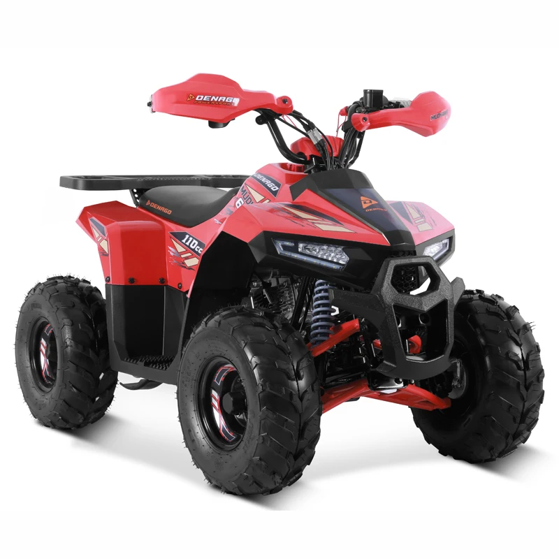 Tao Motor 2025 New 110cc ATV Quad Bike Cuatrimoto Cheap Chinese Kids 110cc ATV with EPA CE