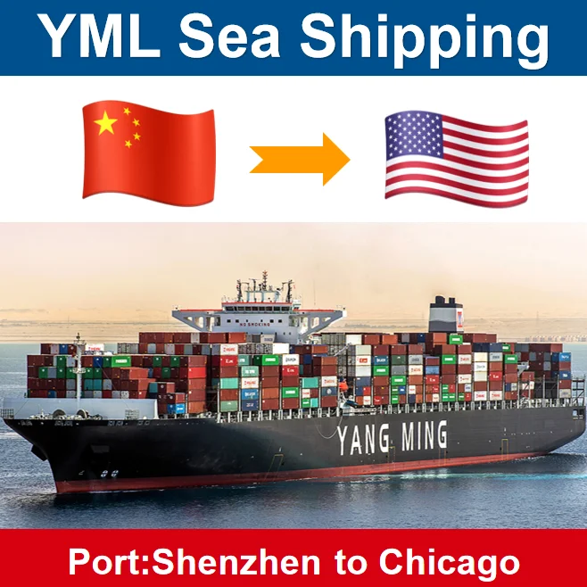 Professional Sea Freight Shipping From Shenzhen to USA New York/LA/LB/Chicago/Tacoma Door to Door and Customs clearance Services