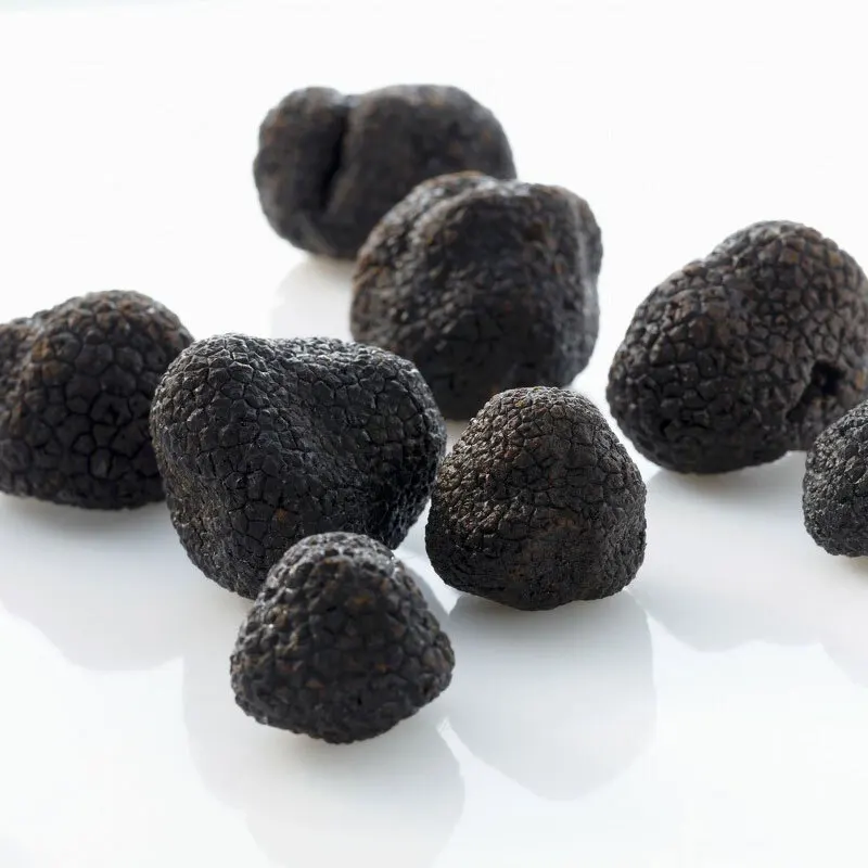 
Manufacturer from Yunnan China 100% natural fresh black truffles fungi 