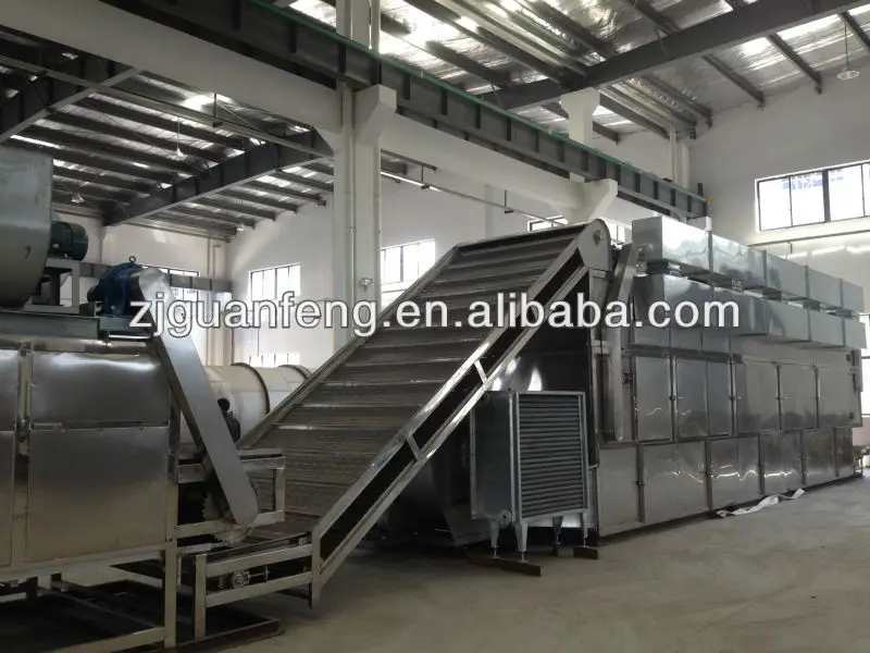 Continuous Industrial Conveyor Mesh Belt Dryer for Fruit Vegetable Seaweed Pepper Herb Chilli Coconut