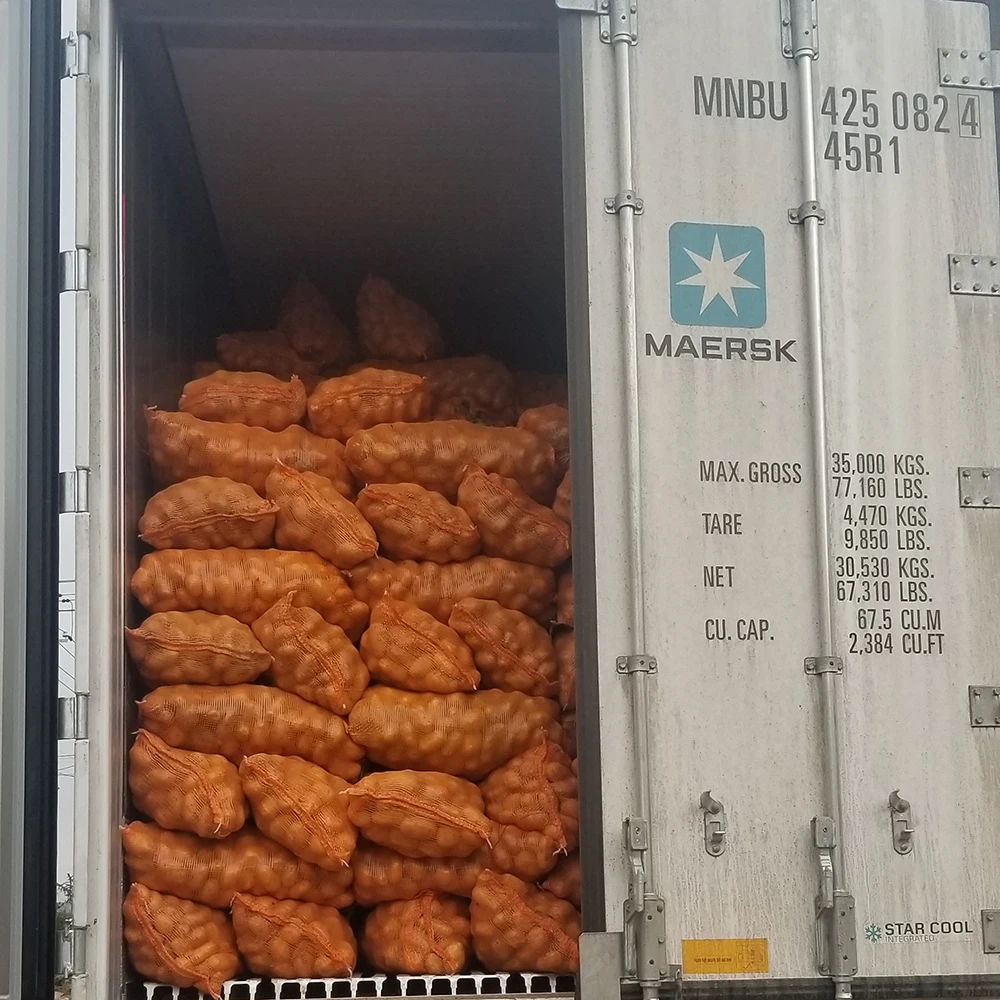 Свежий картофель, сладкий картофель, высокое качество, низкая цена, профессиональный экспорт, оптовая продажа, свежий картофель