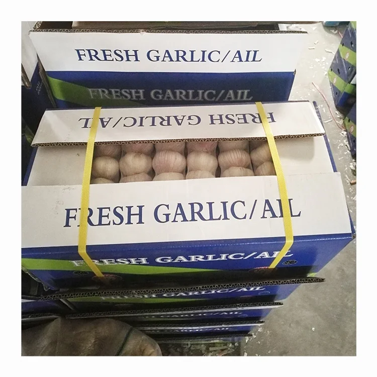 Garlic fresh normal white garlic high quality new crop in box 10kg for wholesale fresh garlic