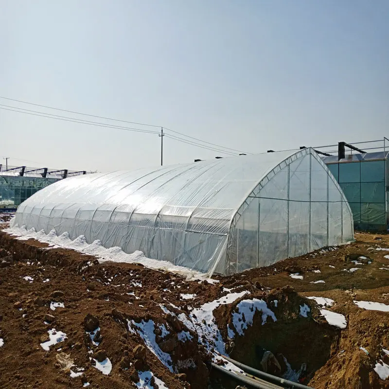 Agriculture hydroponic tunnel greenhouse steel wire cable