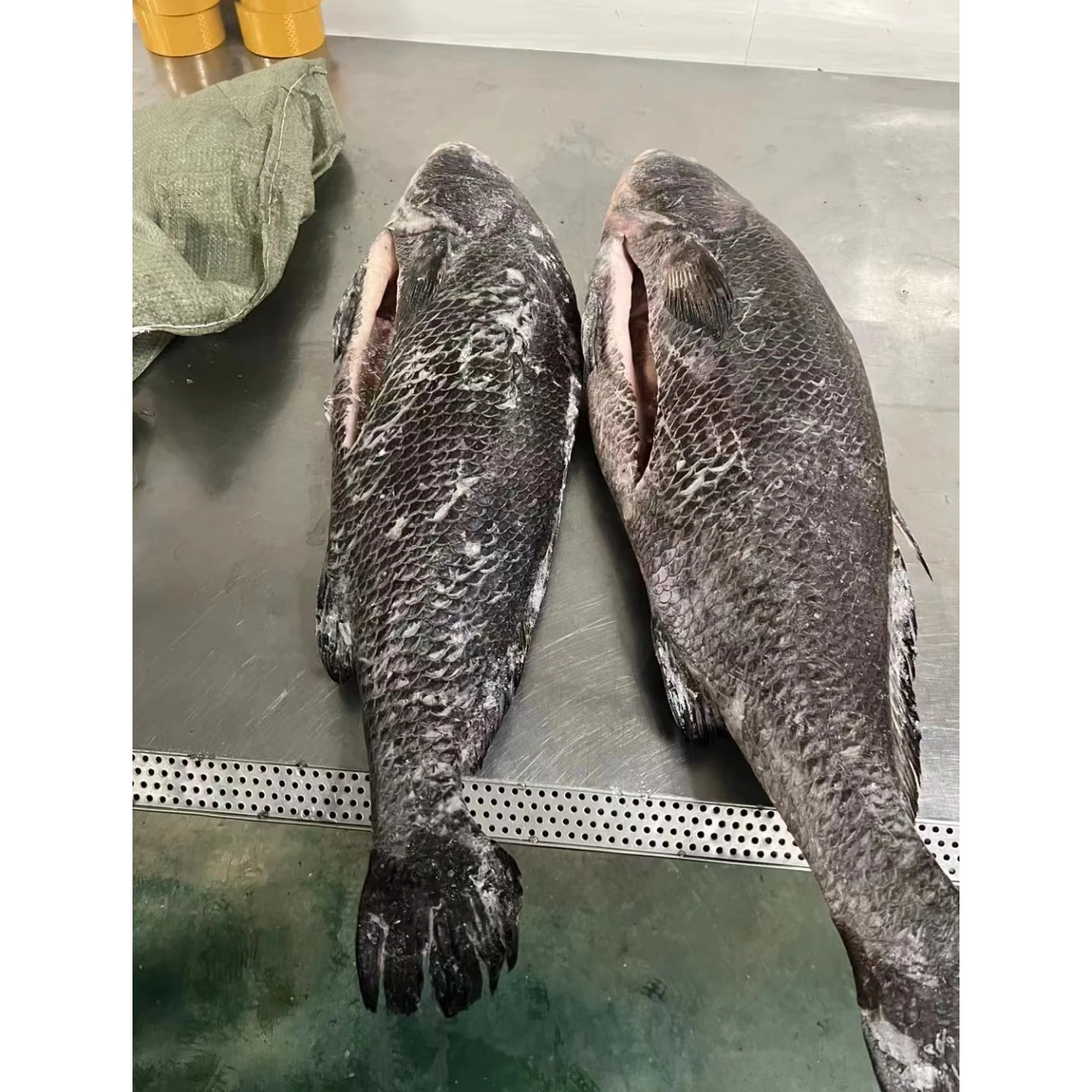 Farm Raised Chinese Croaker Fish Gutted For Sale 4-8kg Iqf Bulk Frozen Brown Croaker G&s