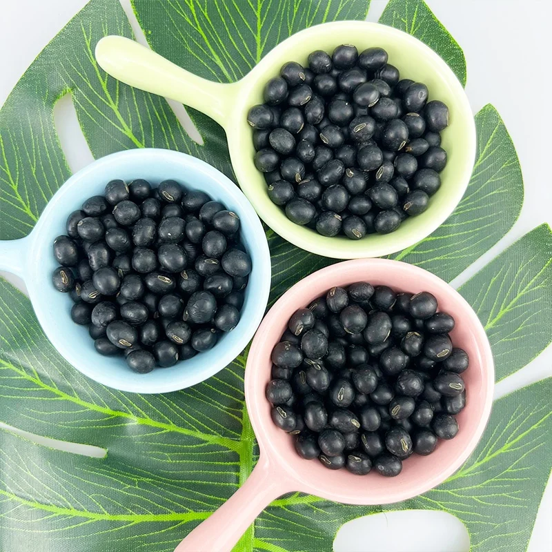 New Crop China Original NON GMO Black Bean With Green/Yellow Kernel For Porridge OR Milk