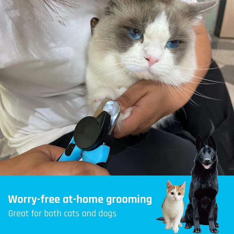 712uLMgGMWL._AC_SL1500_