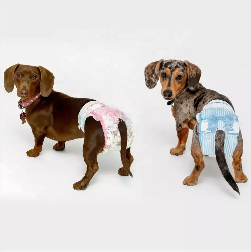 Disposable Dog Cat Pamper For Male And Female Dog Disposable Pet Diaper