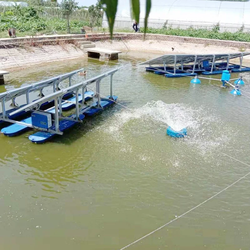 Photovoltaic Aeration System for Urban Lake Water Purification Treatment