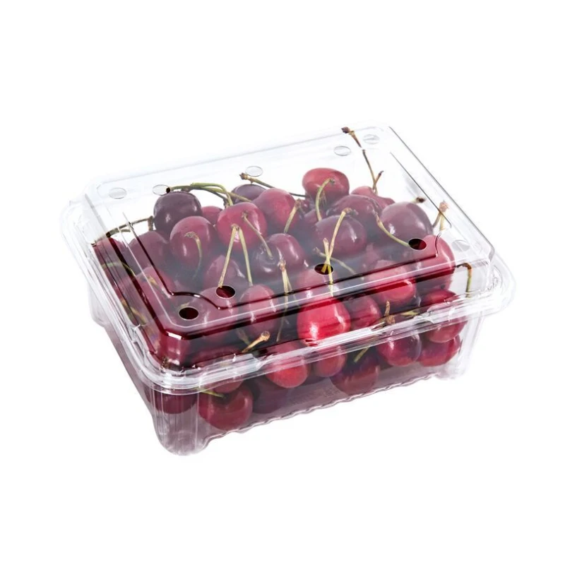 Eco-friendly Plastic Clear Strawberry Packing Box Clamshell Hinged Fruit and Vegetable Packaging Container