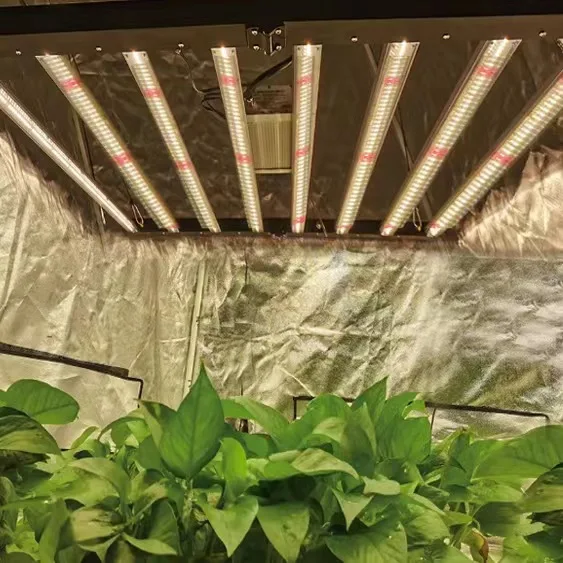 spider high ppf led plant grow lamp light bar efficacy mega eco 720 led grow light for plants plant tray for growing seedlings