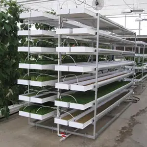 Микрозеленые системы выращивания микрозеленые лотки для продажи трубка полного