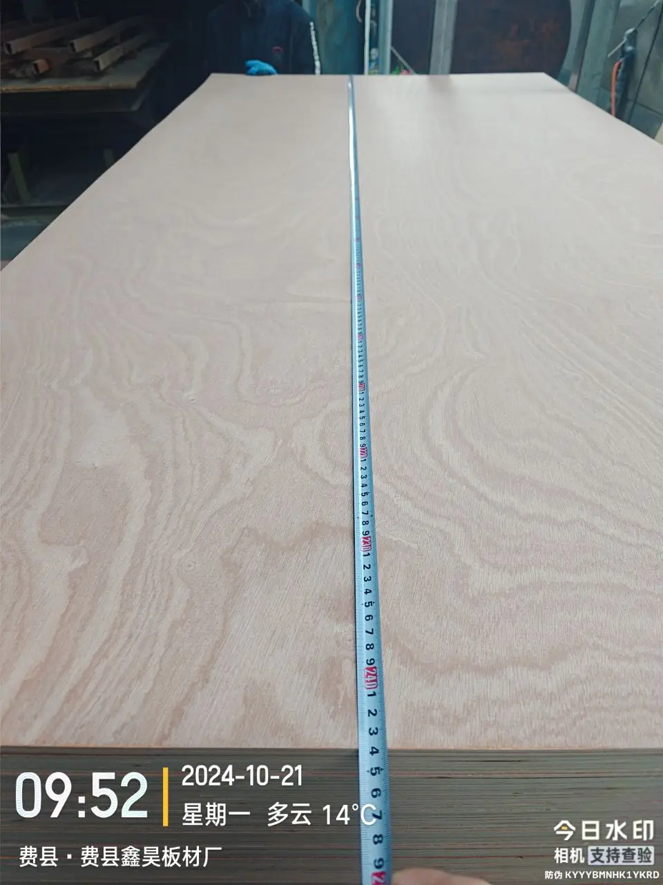 Custom Size AA Natural Plywood Furniture Pine Edge Glued Board Sapele Faced Laminated Plywood Price For Furniture