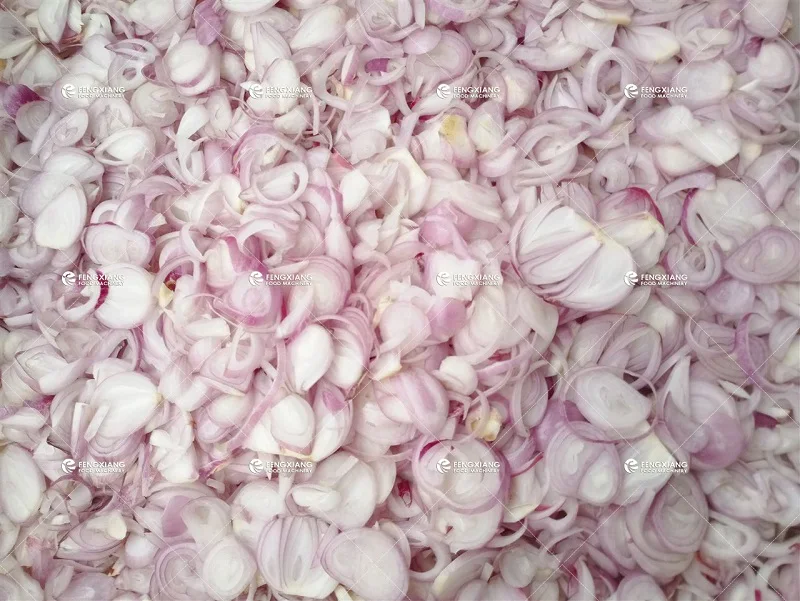 FC-315 Automatic Ginger Slicer Garlic Shallot Slicing Cutting Machine