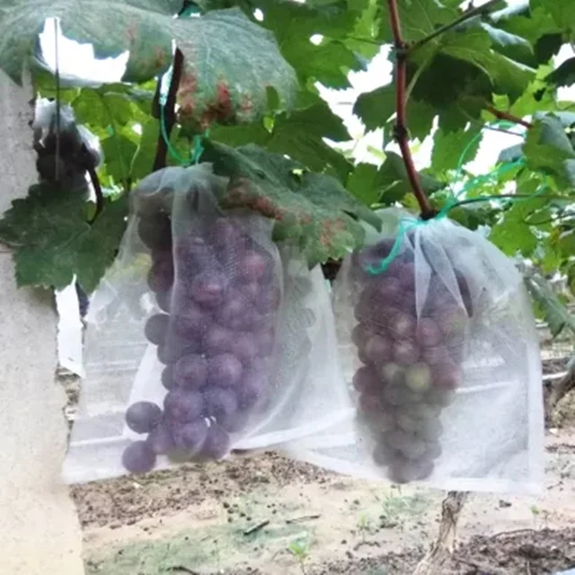 Anti insect net growing bag anti insect net to italy price