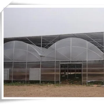 High Quality Tropical Multi Span Agriculture Greenhouse for Vegetable