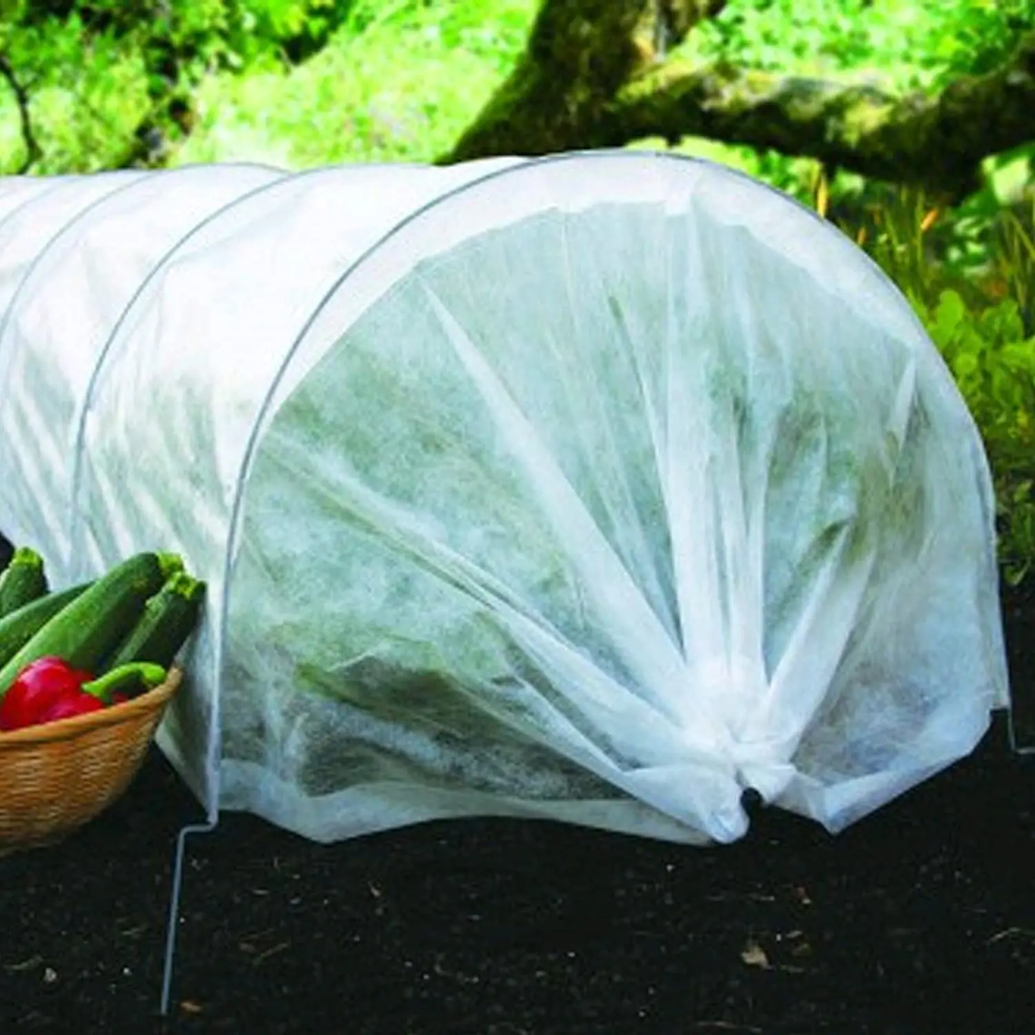 PP nonwoven garden plant cover/winter frost protection fleece for agriculture