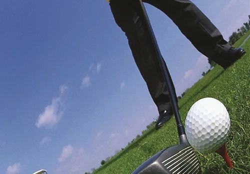 Golf Bowling Ball Cenosphere Composite Filling Microsphere Suppliers 300 microns