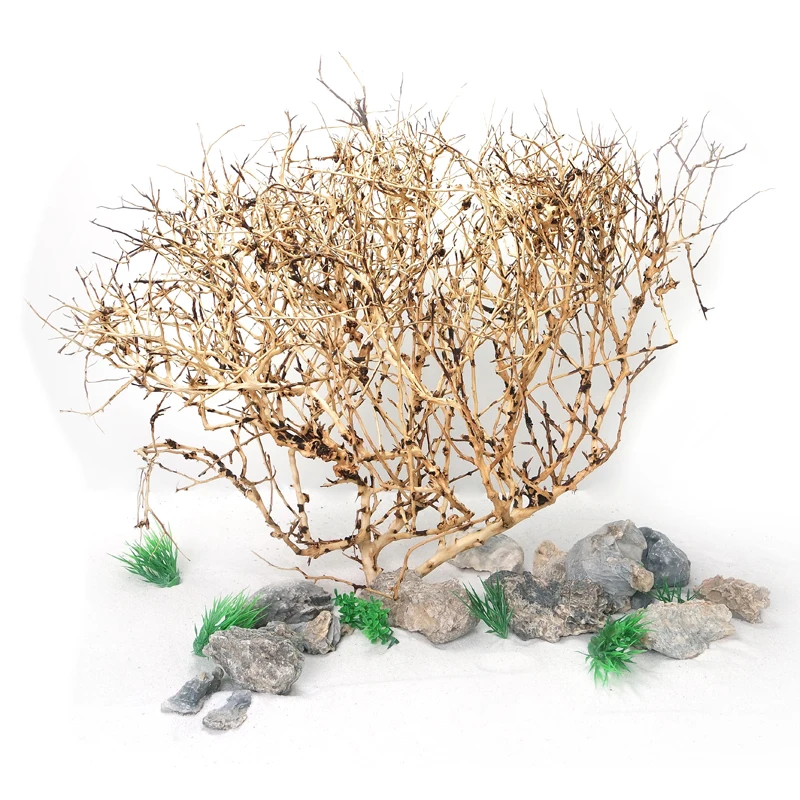 Professional Tiny Ramous Wood Aquarium Bonsai Decorative Driftwood