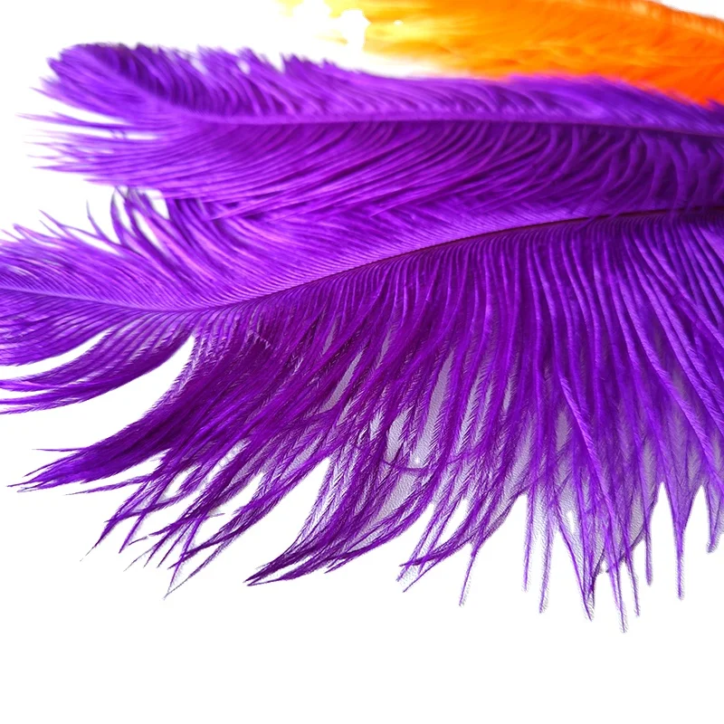 Amazon Popular Festival Decor South Africa Feather White Ostrich Feathers For Wedding
