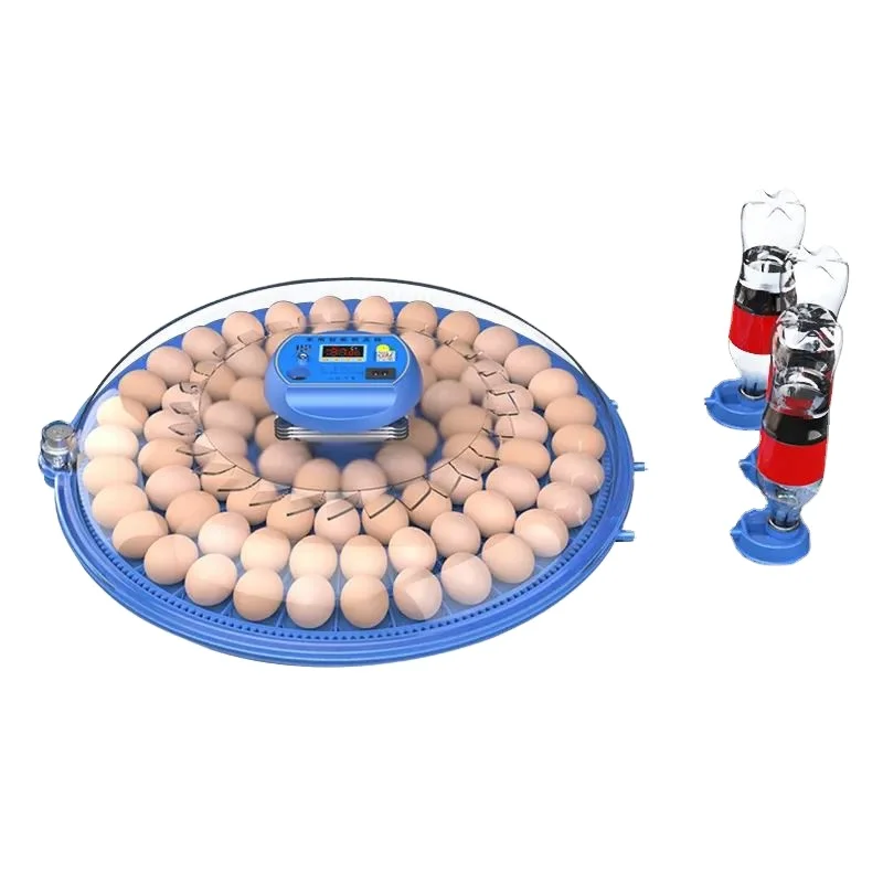Home use 80 egg incubator fully automatic incubator machine for hatching chicken eggs