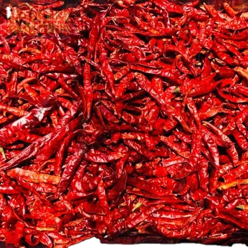 Chilli Pepper Red Chili Spices Top Vietnam Hot Style Packing Food Color Cooking Chilli Herbs