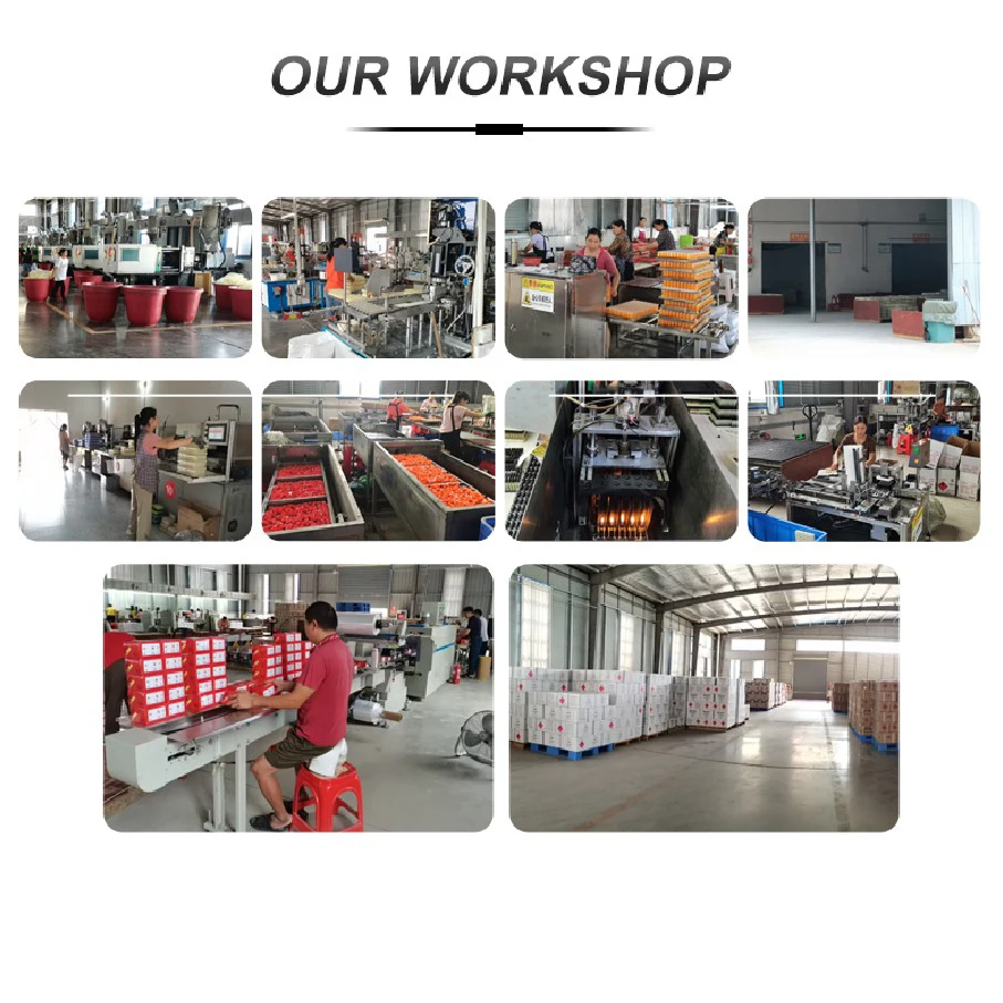 China free sample bulk big plastic electric gas custom other lighters smoking accessories