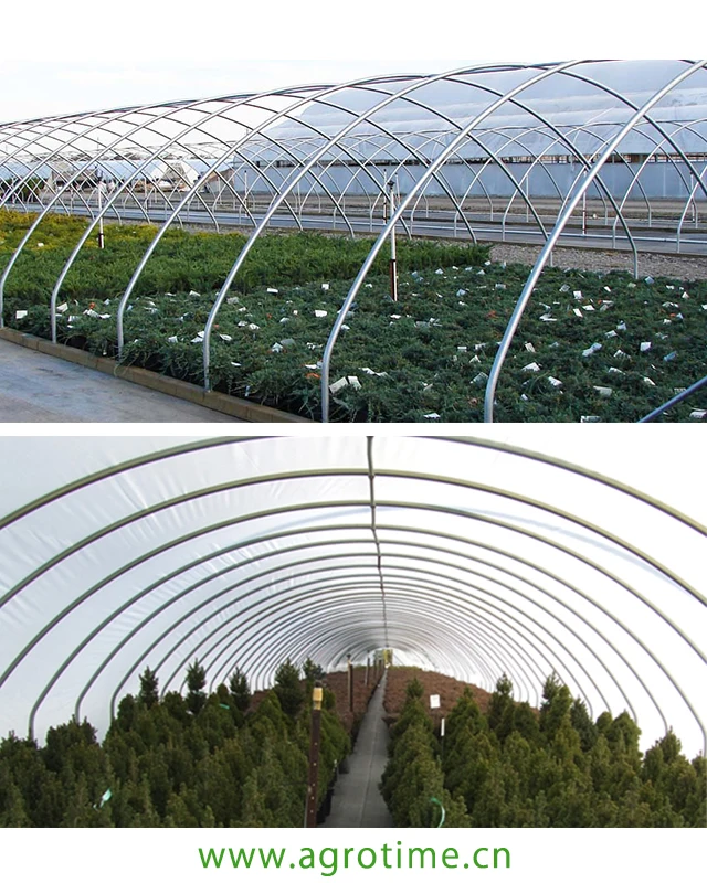 
Cheap Agriculture Multi-span Glass Greenhouse Hydroponic Greenhouse PC sheet sunshine other greenhouse 