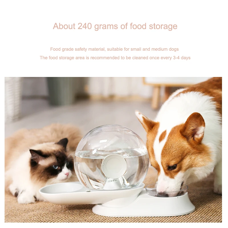 Snail Shaped 2.8L Pet Automatic Waterer and Feeder Bowl for Cats and Dogs
