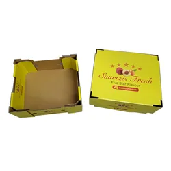 Custom Insulated Foam Shipping Box for Food Packaging Carton Cooler box Meat Boxes