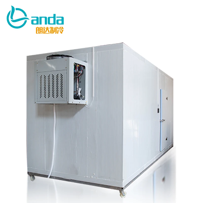 Walk in Freezer Chamber Refrigeration Chiller Room Large Cold Storage Room Low Price