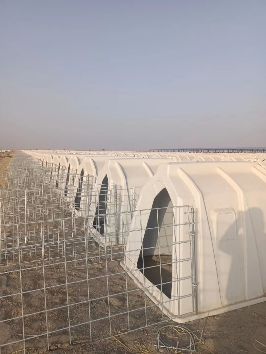 High Quality Comfortable Calf Hutch  Farm Equipment Cheap Plastic Diary Cow Comfortable Livestock House With Young Sheep