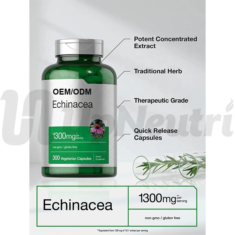 Private Label Best Quality Purity Echinacea with Zinc Purpurea Polyphenols Echinacea Extract capsule
