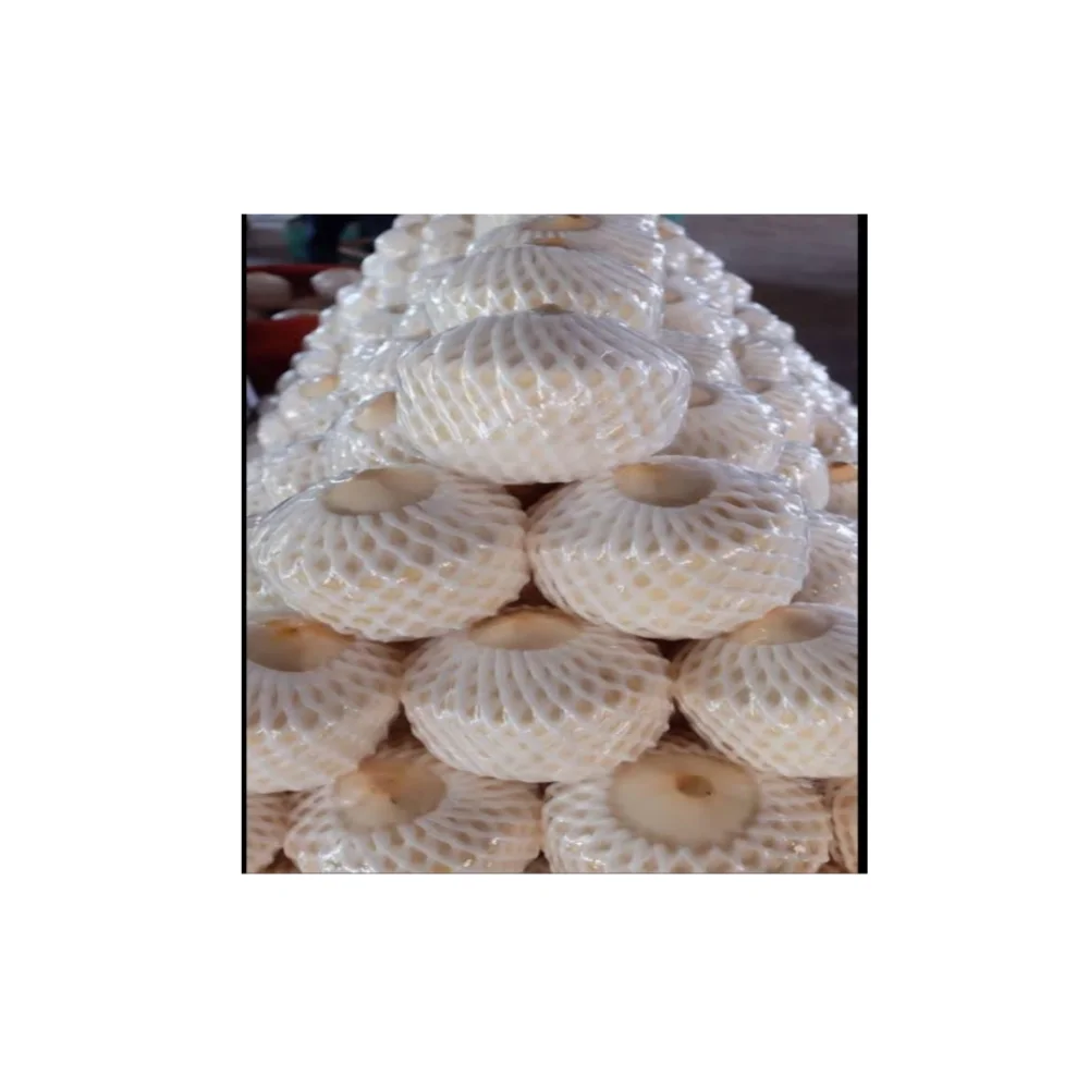 Молодой кокосовый тропический фрукт оптовая продажа продукты оптимального класса качественный напиток из