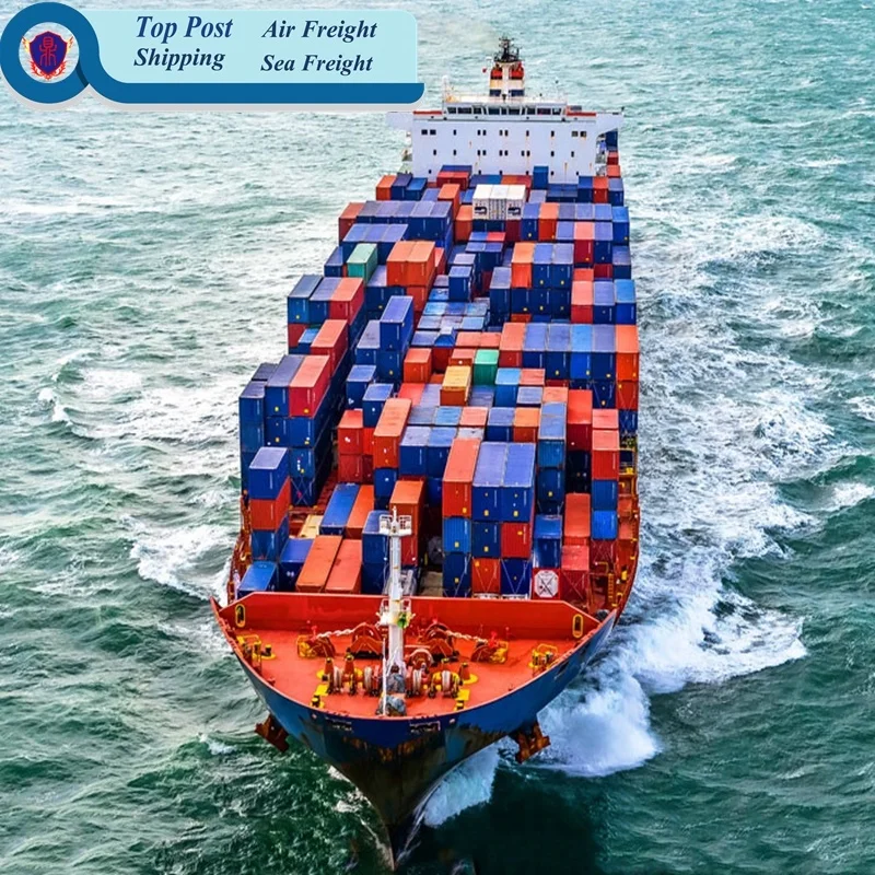 
 Морской экспедитор из Китая во Вьетнам/США/Канаду/Марокко  