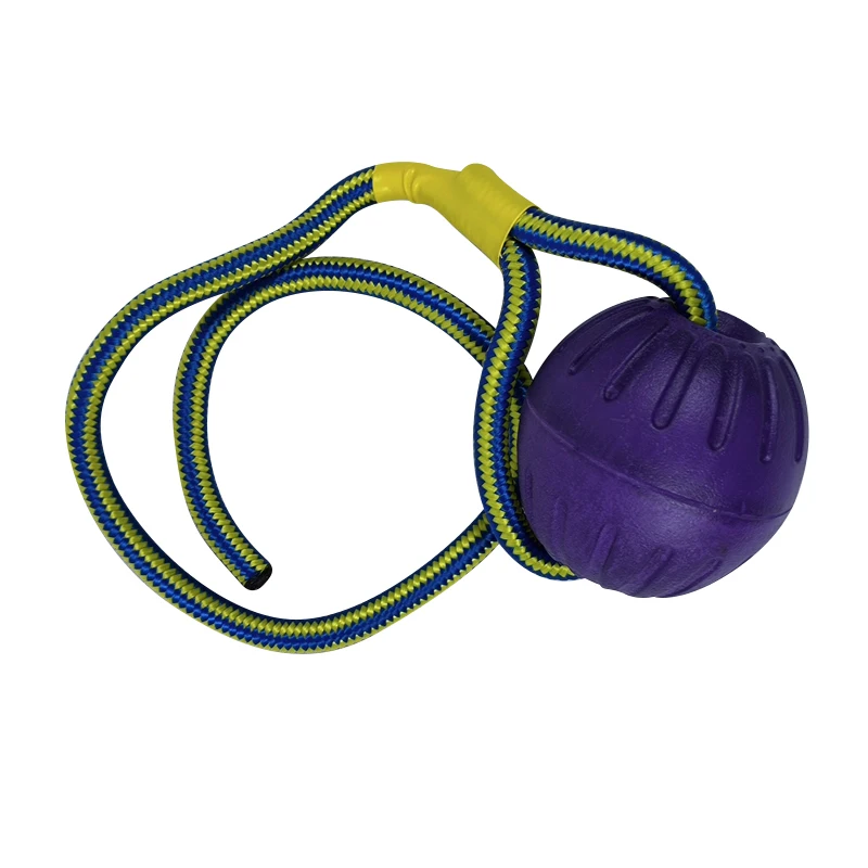 Wholesale EVA IQ Treat Interactive Pet Toy Pet Training Chew Ball With Rope
