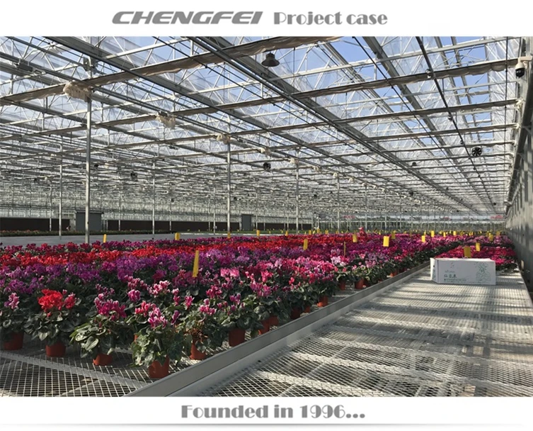 8m/9.6m/10.8m/12m/16m Span Glass Green Houses Agriculture Commercial Spain Large Green House