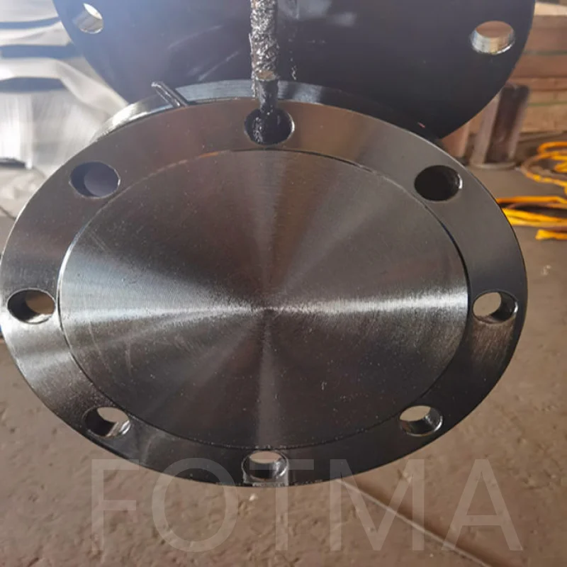 Customized AWWA C207-07 Flange Class B/D Flange Ring and Blind Hub Flange