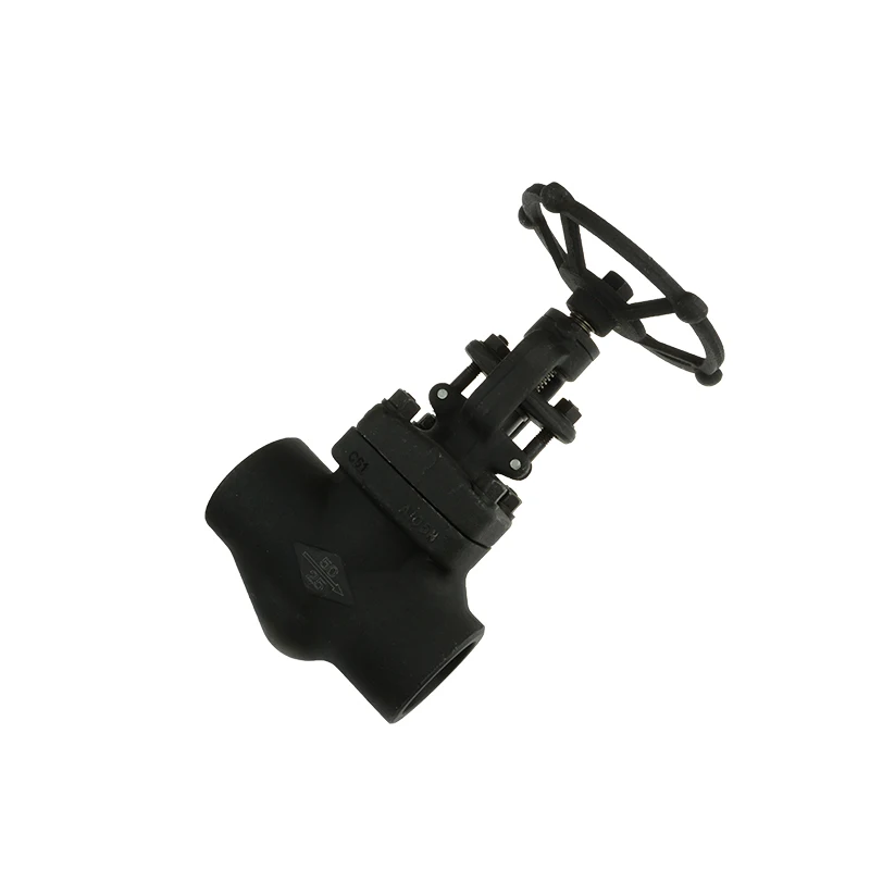 Good Quality DN50 WCB Alloy Forge Cast Iron Female Threaded and Socket Welded Globe Valve