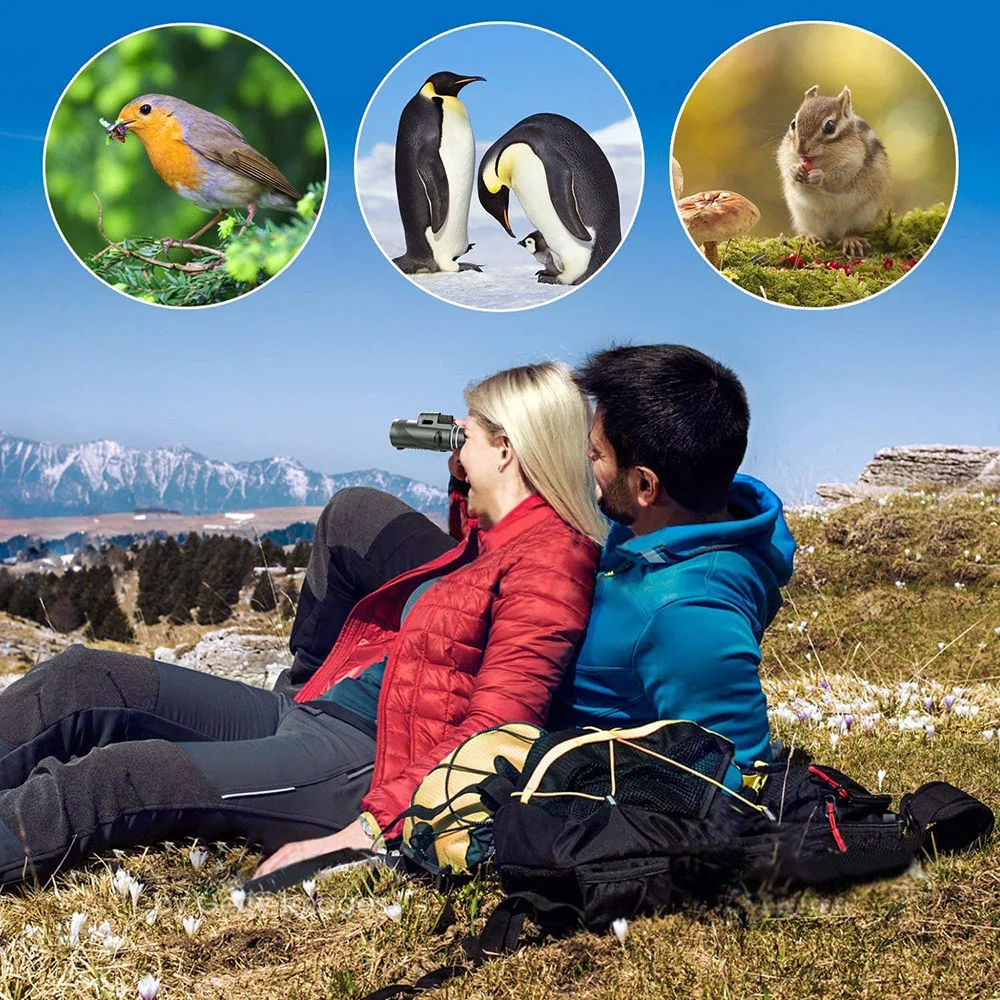 40x60 80x100 Monocular Telescope with Phone Adapter & Tripod  Waterproof low light Night Vision for Smartphone