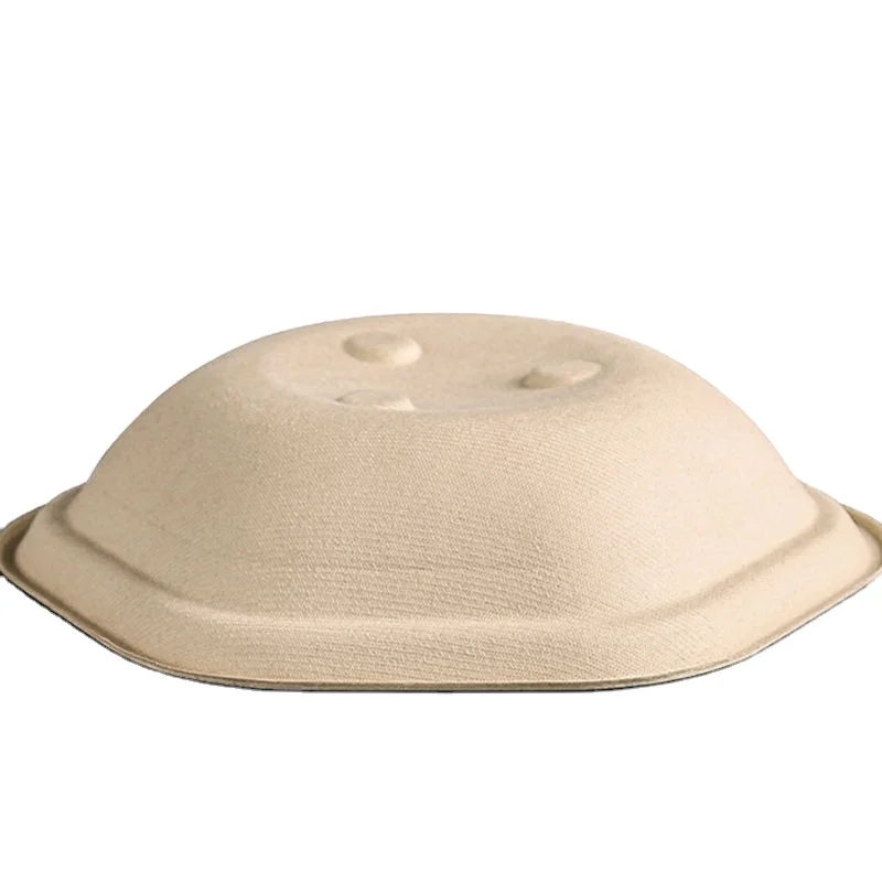 Wholesale Biodegradable Disposable Sugar Cane Paper Fiber Pulp Mould Soup Salad Bowl with Lid Sugarcane Bagasse Bowl